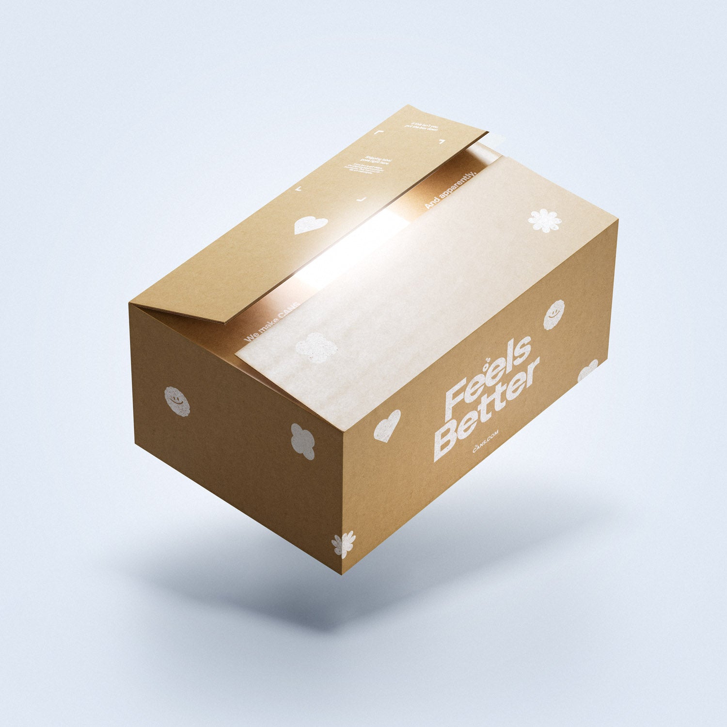 Mystery Box -- 24 × 330ml